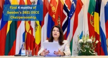 Ann Linde