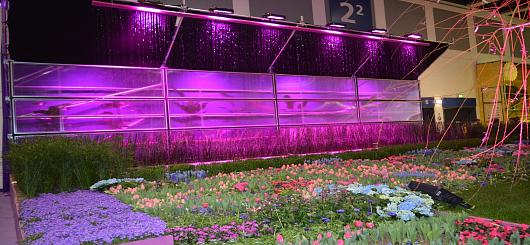 Blumenhalle