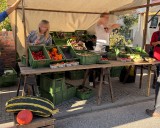 Teltower Rübchen Verkaufsstand